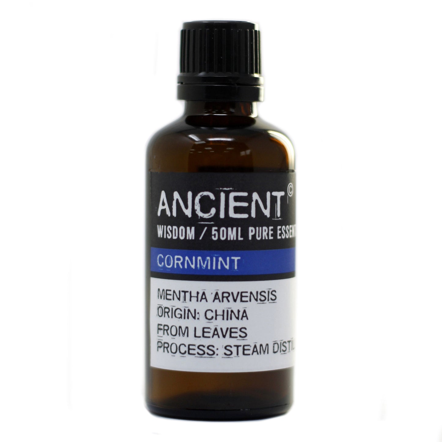 Cornmint Essential Oil 50ml bottle by Ancient Wisdom – Underground Allure