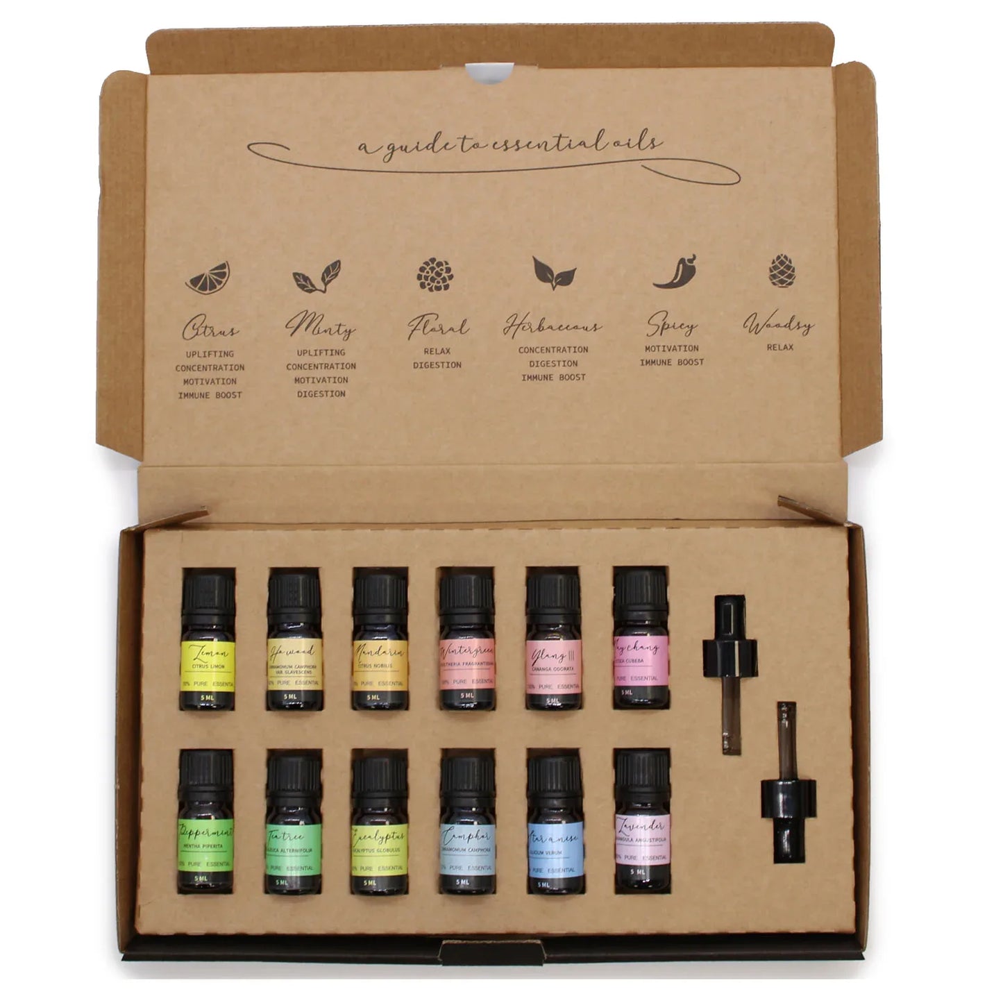 Aromatherapy Essential Oil Set - Starter Pack - Underground Allure