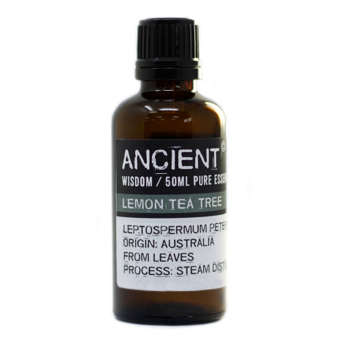 Lemon Tea Tree Essential Oil 50ml bottle by Ancient Wisdom – Underground Allure