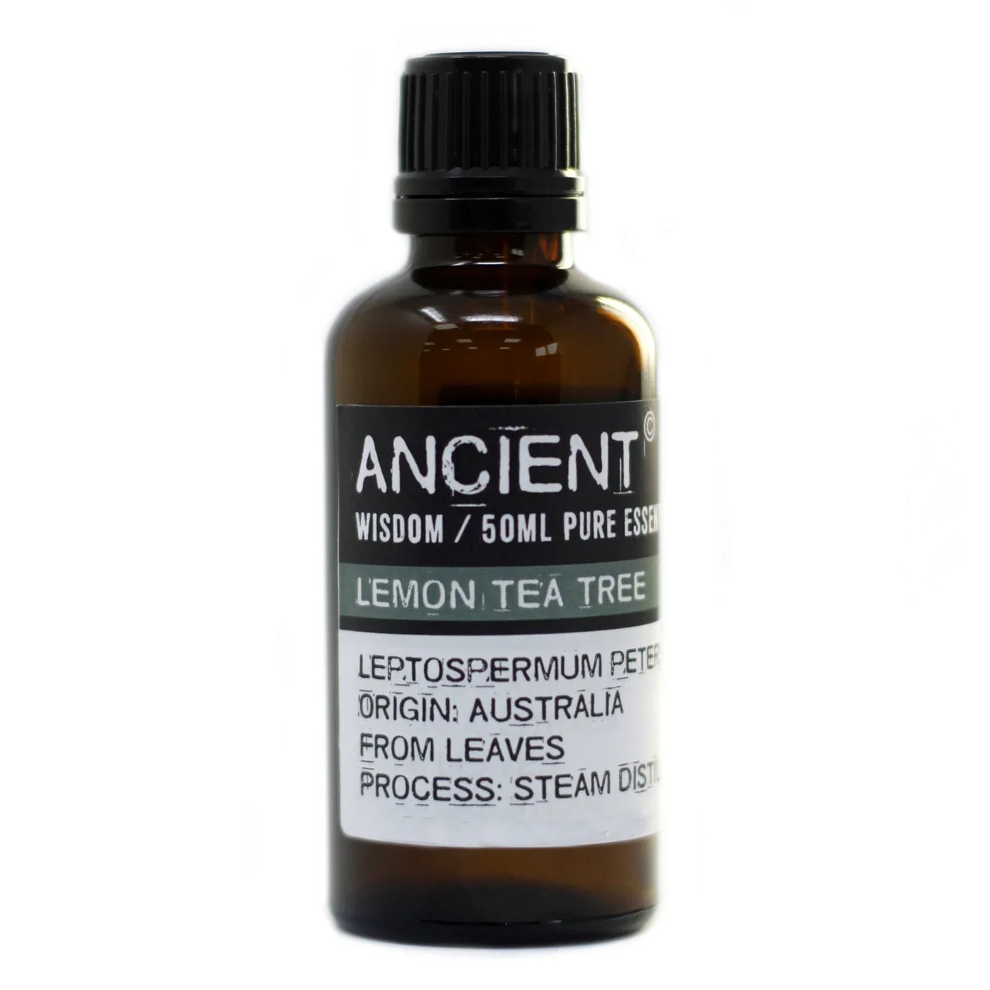 Lemon Tea Tree Essential Oil 50ml by Ancient Wisdom – Uplifting, Cleansing & Ethically Sourced | Underground Allure - Underground Allure