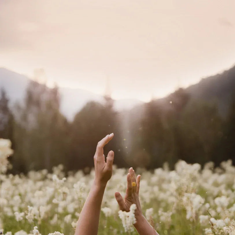 Uplifting - Underground Allure