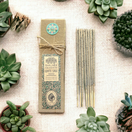 Incense sticks with packaging surrounded by succulent plants on a textured surface