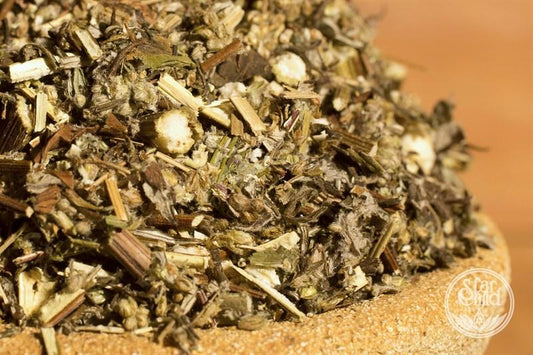 Wild Mugwort – Artemisia vulgaris for Protection & Tradition