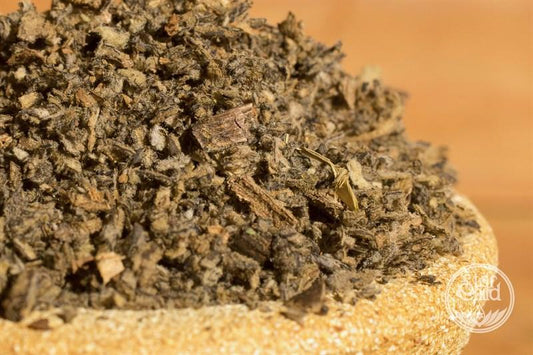 Mullein Leaf (Verbascum thapsus) – Soothing Respiratory Herb