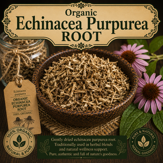 Organic Echinacea Purpurea Root