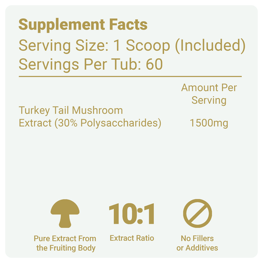 Turkey Tail Mushroom Supplement