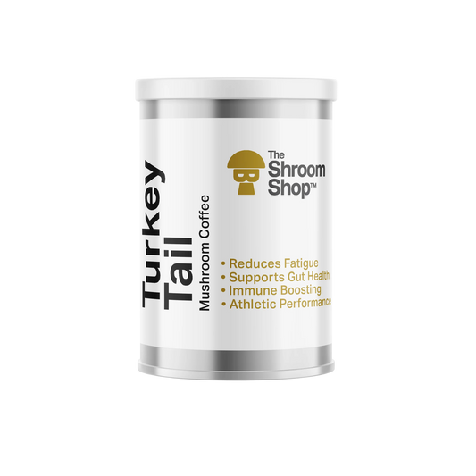 Turkey Tail Mushroom Supplement
