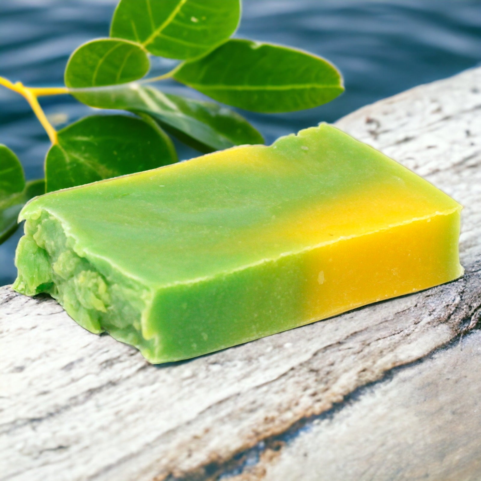 Jojoba - Olive Oil Soap