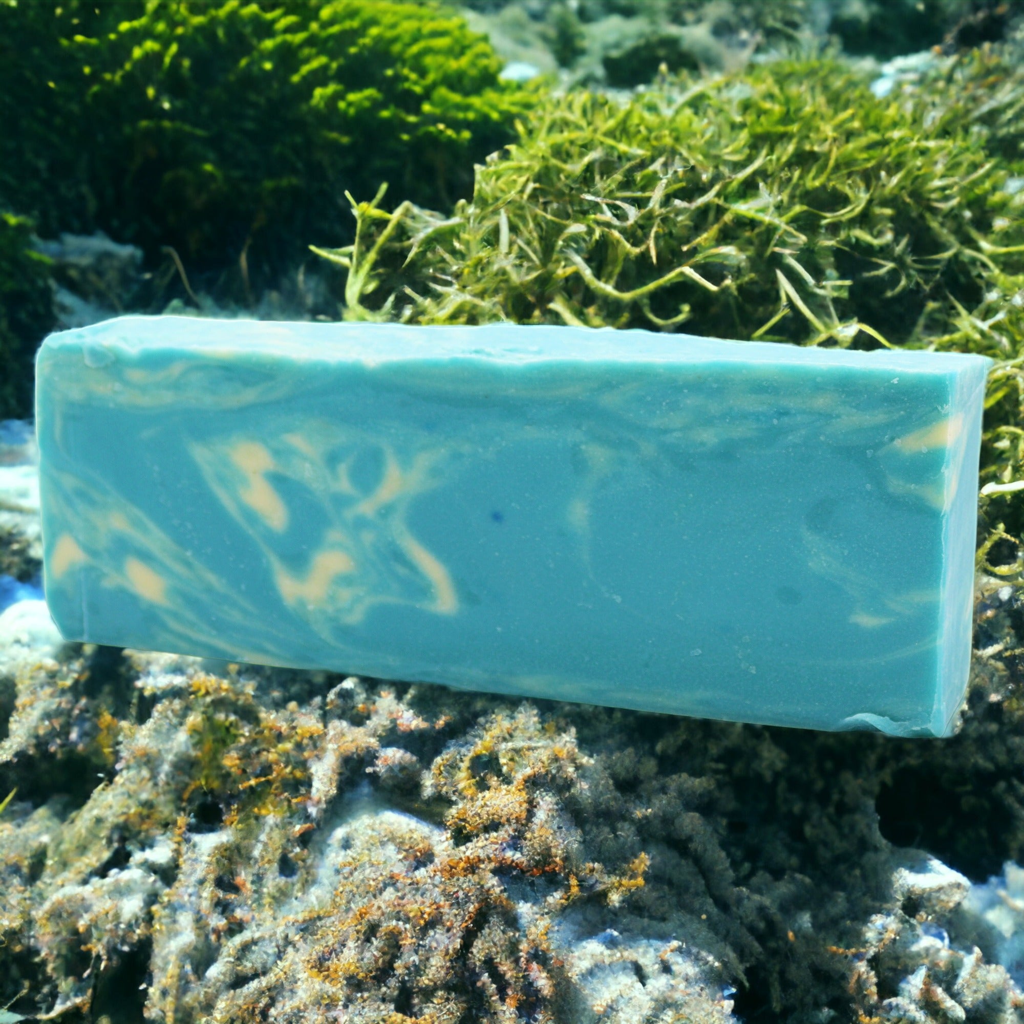 Seaweed - Olive Oil Soap