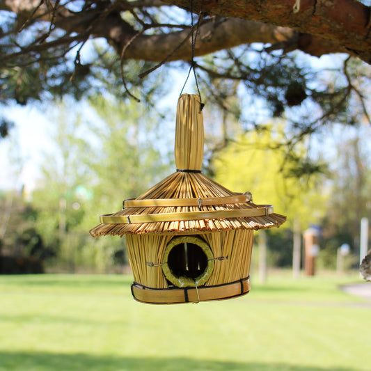Woven birdhouse hanging from a tree branch with a blurred green outdoor background