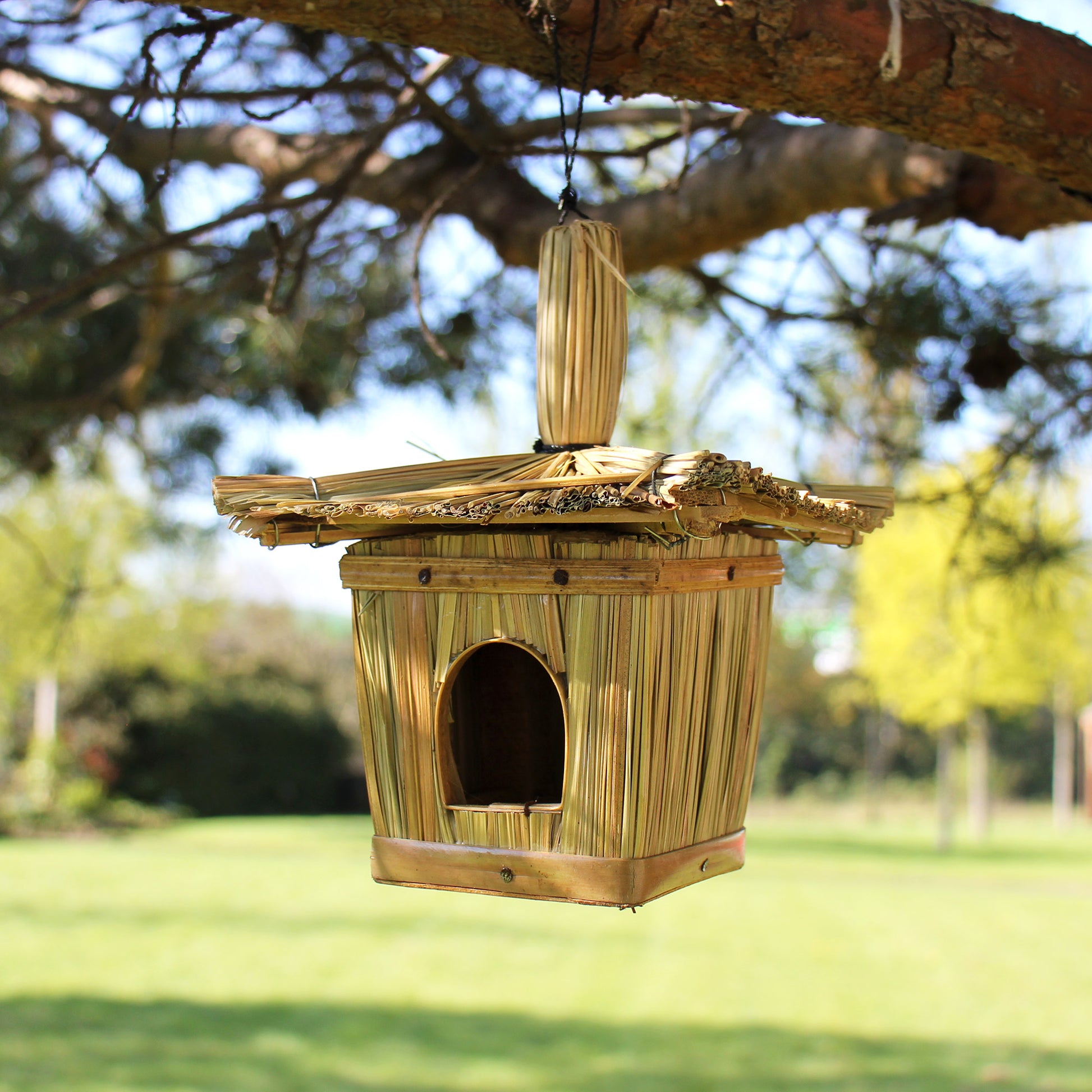 Wooden birdhouse hanging from a tree branch with a blurred natural background