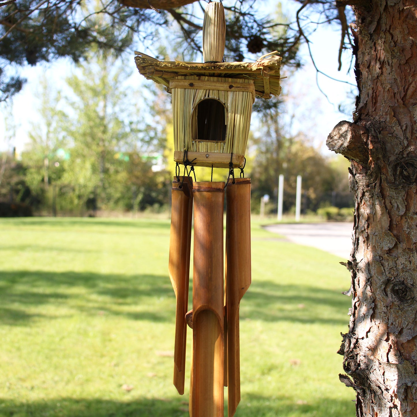 Bamboo wind chime attached to a tree with a park-like background
