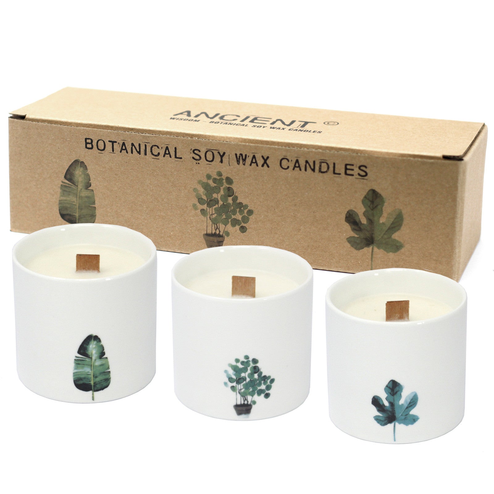 Large Botanical Candles - Wild Jasmine and its box