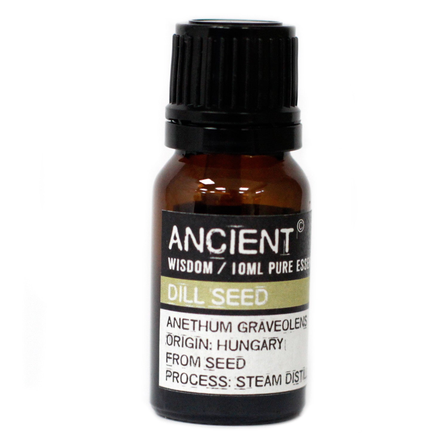 10ml bottle of Dill Seed  Essential Oil