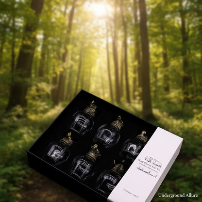 Box of Wild Forest Creatures bottles with 'Underground Allure' branding in a forest setting
