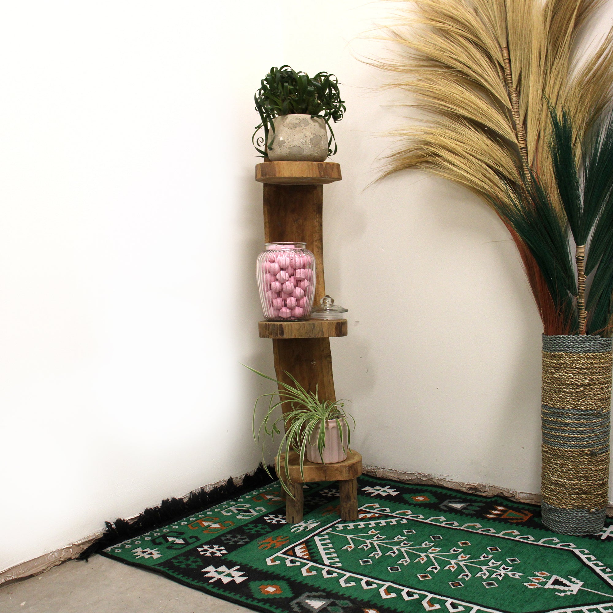 Natural Teak Log Shelve Display 3 Shelves in corner of a wall with pot plants and a green rug on the floor