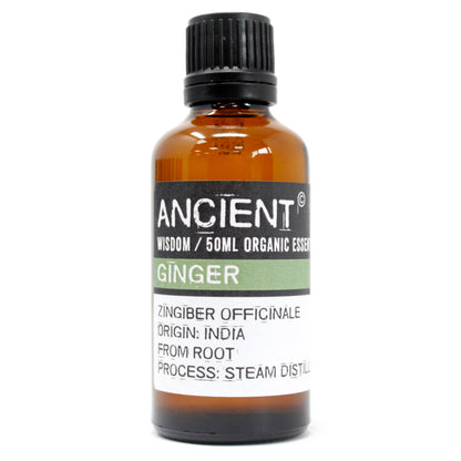 A bottle of Ancient Wisdom Ginger Essential Oil with a white label, indicating it is derived from the Zingiber officinale plant.Underground Allure Essex, UK