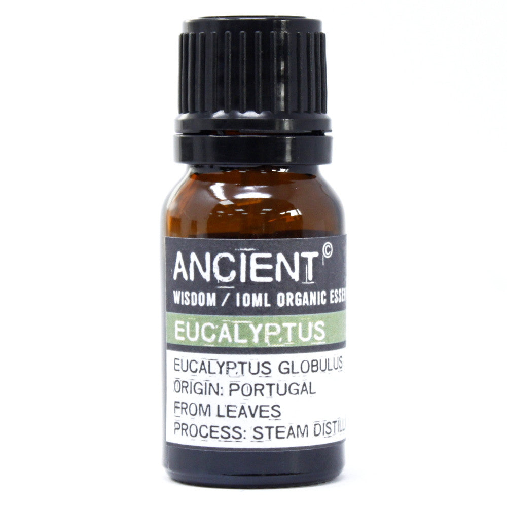 Eucalyptus Essential Oil